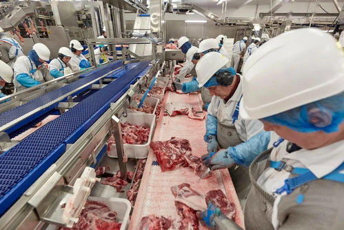 餐桌危机 全球食品厂疫情爆发 北京风险再升级, 百事 停产停业