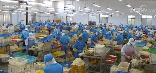拓市场稳订单 我国蔬菜出口逐步回暖