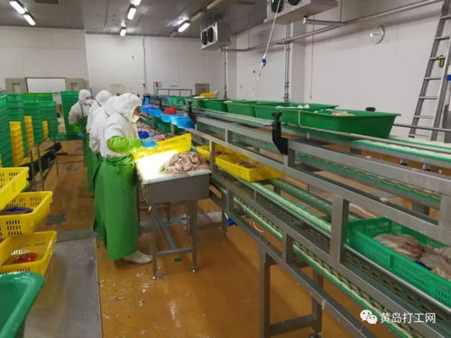 太平恩利食品加工厂 管吃住 男女 月薪 上万