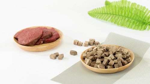 粮言宠物零食 不用挑 的放心宠物食品