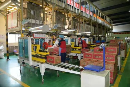 齐齐哈尔市甘南县 依托 3 3 产业格局 不断壮大产业集群