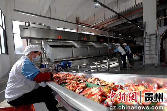贵州道真 绿色食品加工业按下 加速键