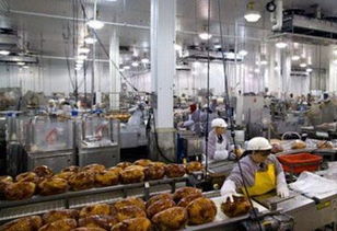 2019台北国际食品加工设备暨生技 制药机械展
