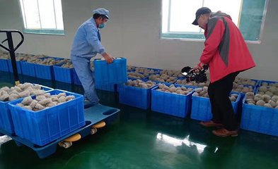 周转箱