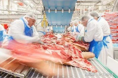 欧美肉类工厂暴发疫情!为什么总是肉类加工厂?