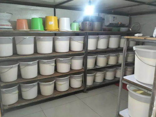 厉害了 这个旗县的奶食品即将登上央视
