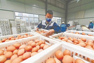 泉港:生产"加马力"供应"不断档"