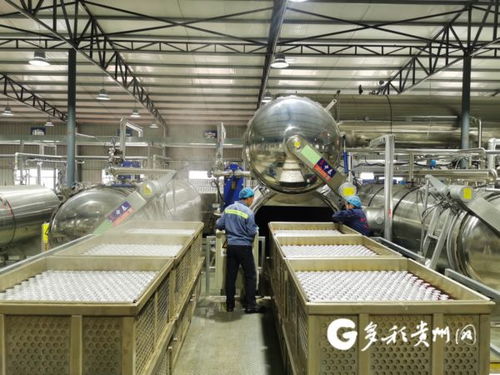 大方 延伸产业链,农产品加工有特色