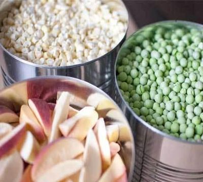 食品冻干机在蔬菜农产品深加工冻干应用
