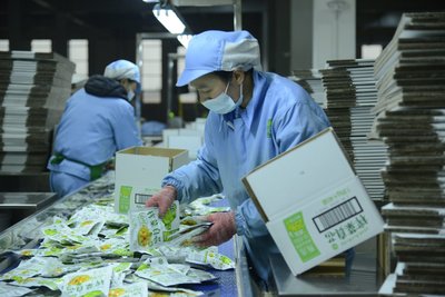 广元食品饮料加工企业,工人正在包装榨菜。利州区委宣传部 供图