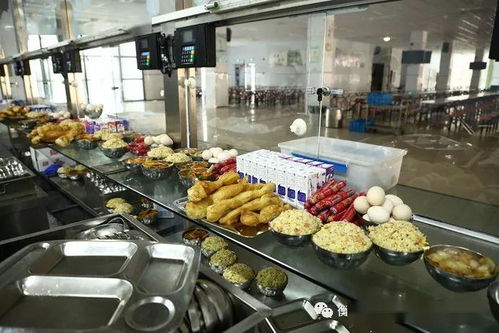 带你全面了解滨湖志臻 二 食品加工流程 安全先行,公开透明
