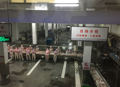 食品源头一扫就知晓，德州打造食品安全信息追溯“一张网”