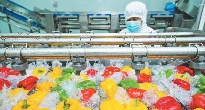 做大做强农产品加工业（新时代画卷）