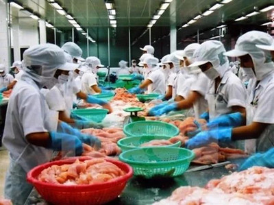 越南巴沙鱼对华出口急剧下滑，食品加工产业面临挑战