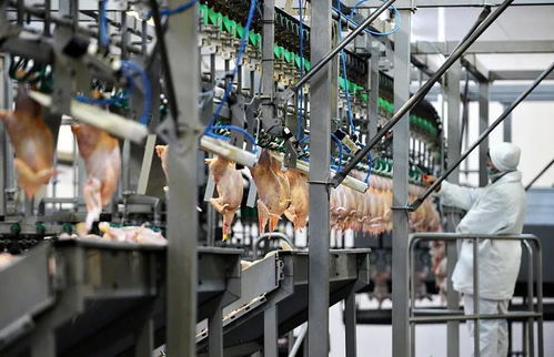 万华携手泰森食品，以专业科技打造肉类食品加工新标杆