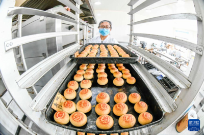 摄影师镜头记录 月饼制作迎中秋的匠心之旅