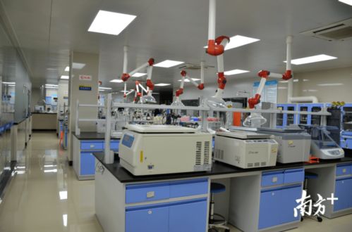 从休闲零食到全产业链 潮州食品企业的转型之路