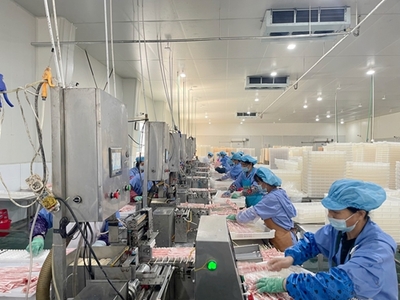 鹰潭市 优化服务、强化监管，壮大乡村振兴食品加工产业