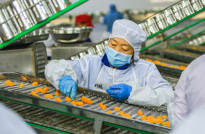 蜜橘罐头加工忙 秭归屈姑国际农业集团自动化生产线探秘