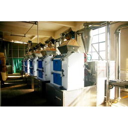 调味品加工机械产品列表第16页 食品加工的精细化与高效化解决方案